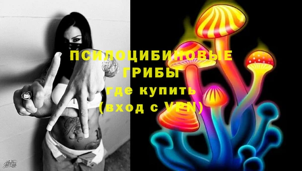 СК Гусев