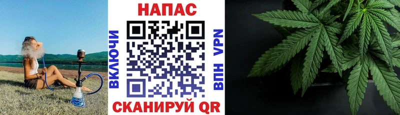 хочу наркоту  Новоржев  Бошки Шишки семена 